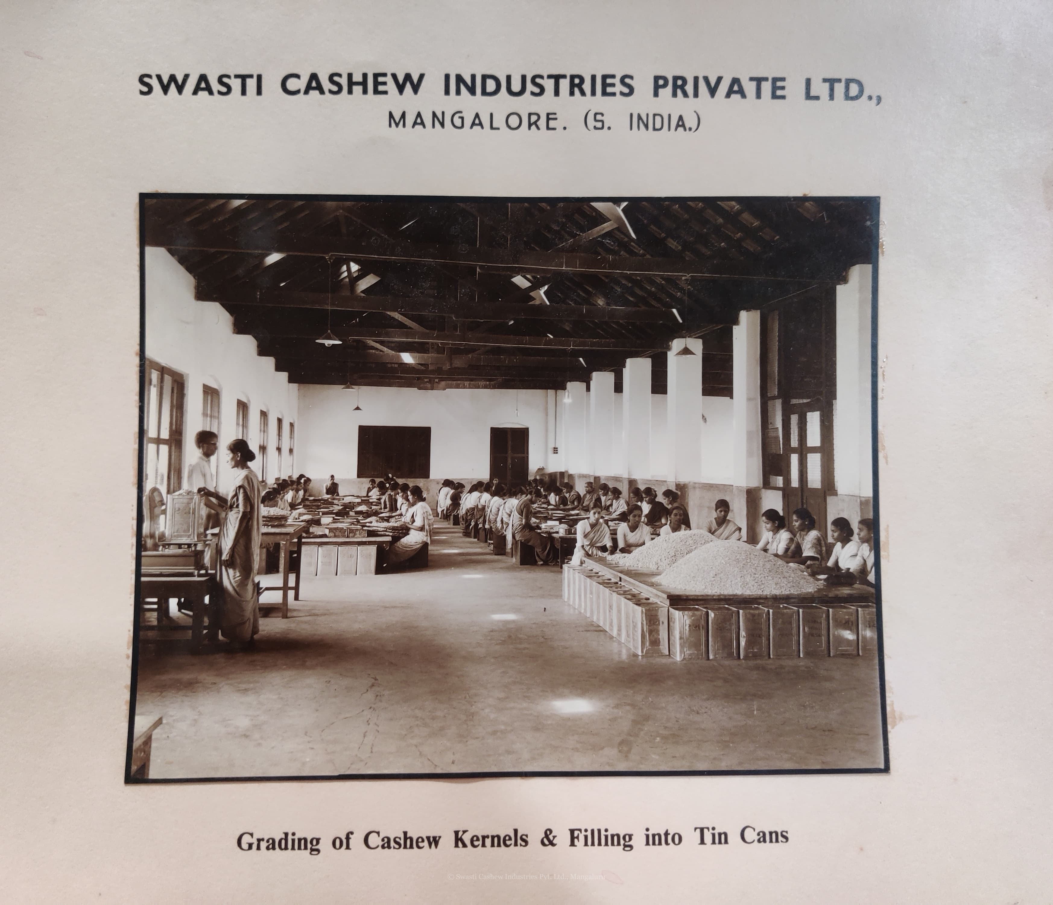 grading swasti cashew