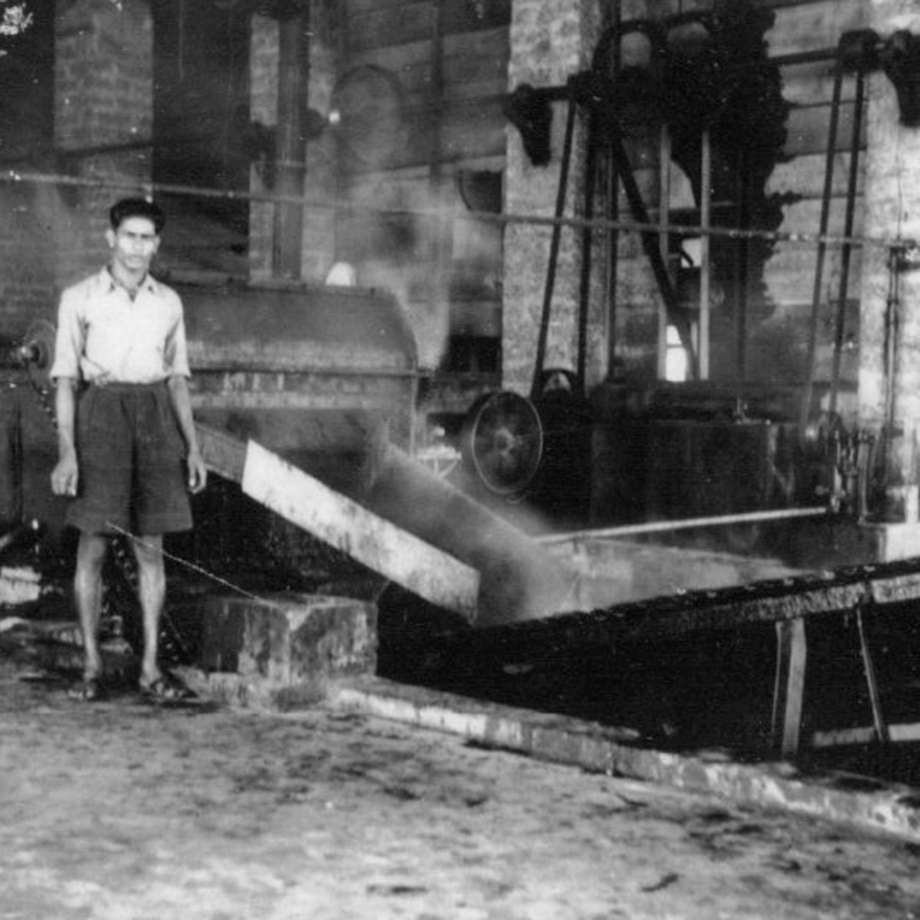 Industrial machine Swasti Cashew